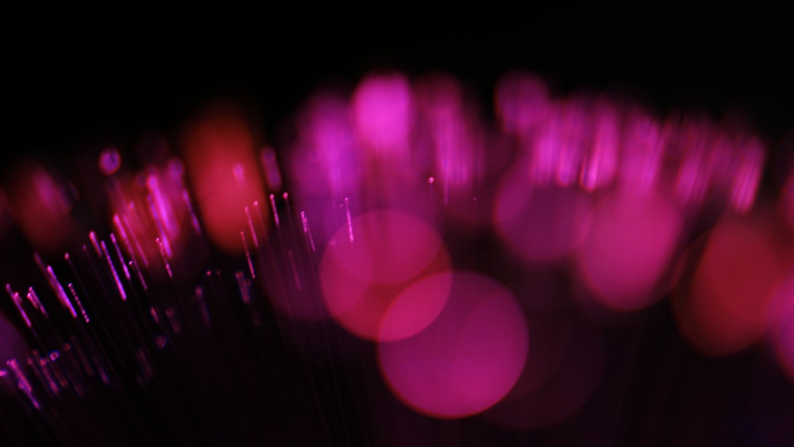 Abstract blurry image with pink and purple colors