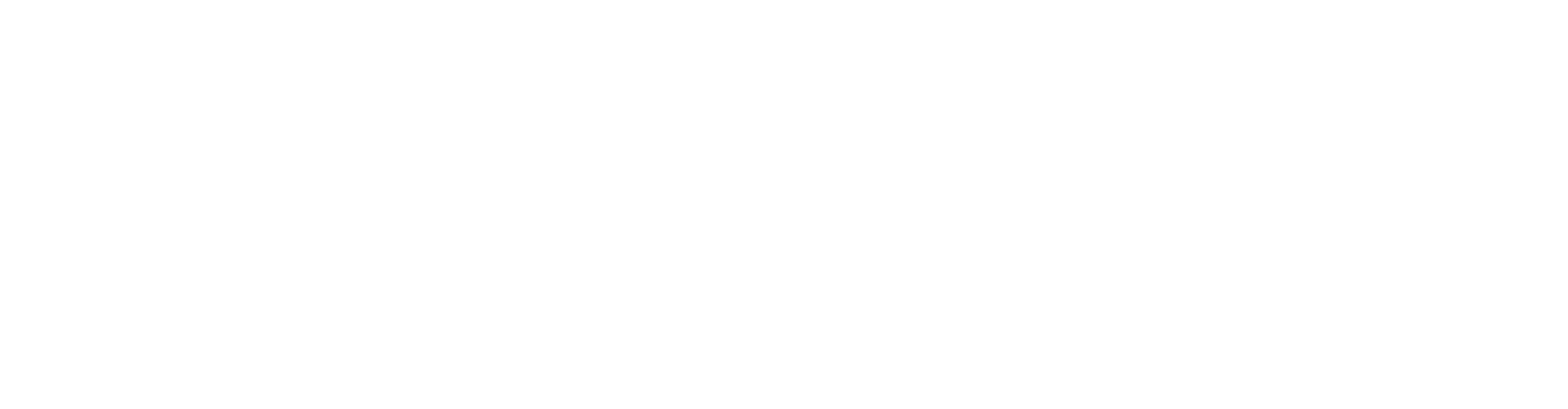 Adobe Partner