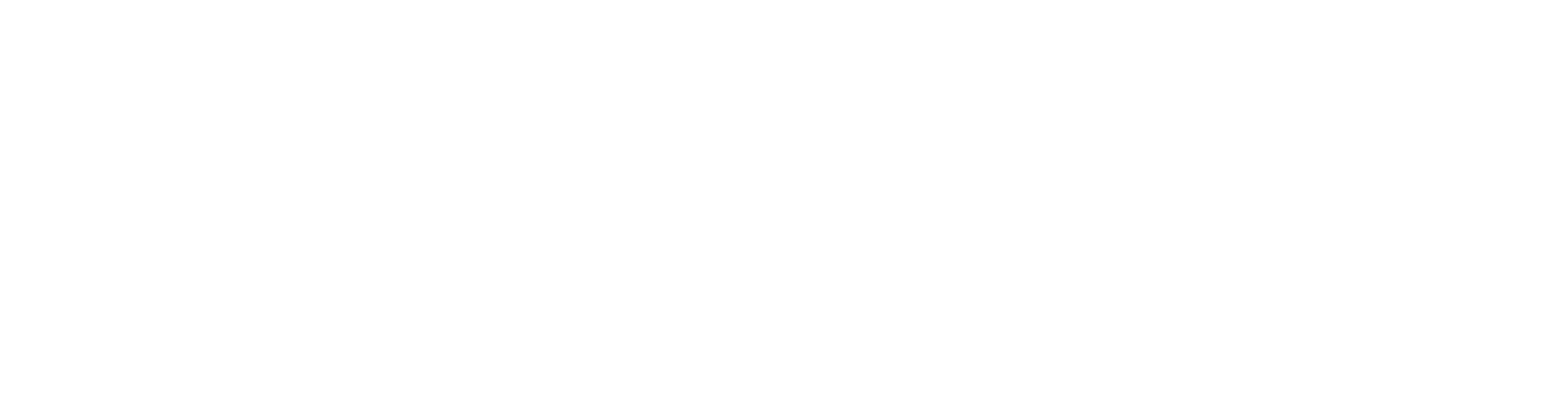Oracle Partner